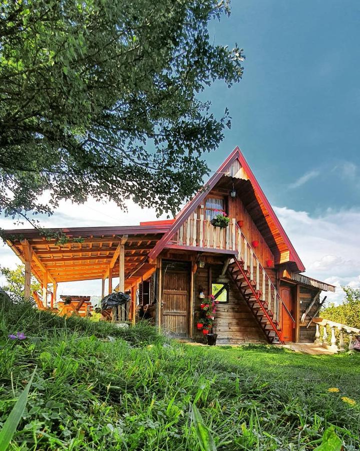 Log Cabin Uvac Nova Varoš Zewnętrze zdjęcie