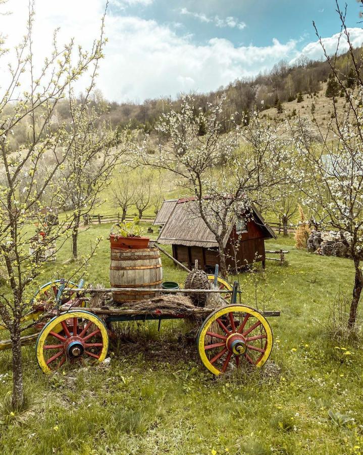 Log Cabin Uvac Nova Varoš Pokój zdjęcie