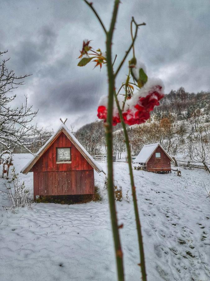 Log Cabin Uvac Nova Varoš Zewnętrze zdjęcie