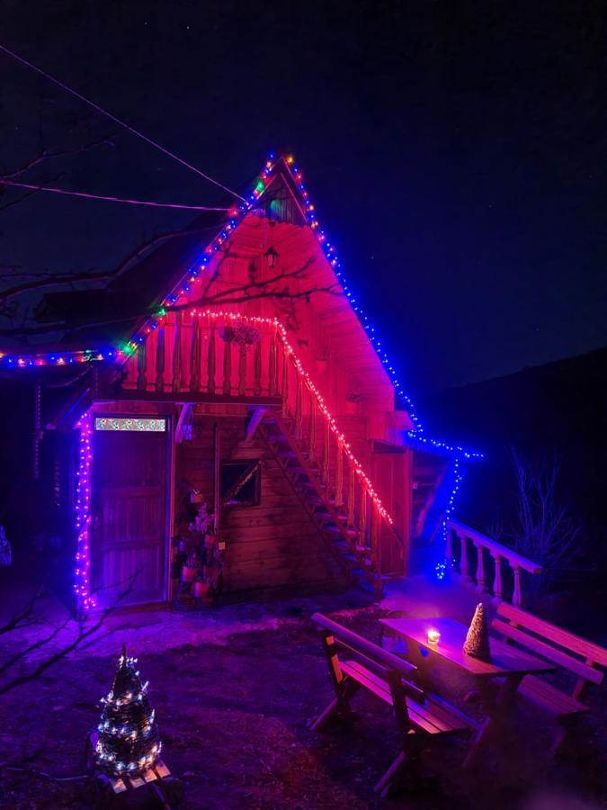 Log Cabin Uvac Nova Varoš Zewnętrze zdjęcie