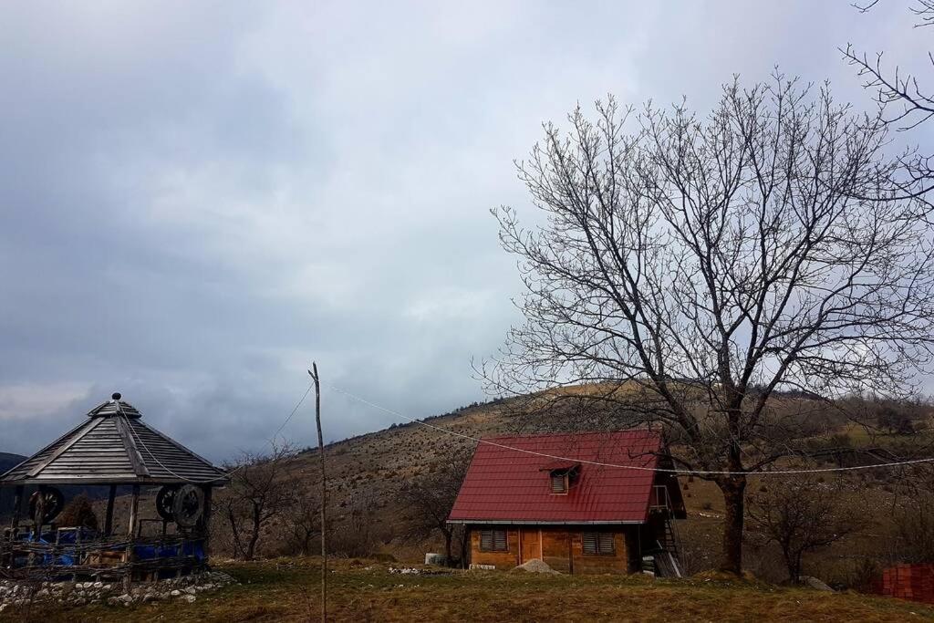Log Cabin Uvac Nova Varoš Zewnętrze zdjęcie