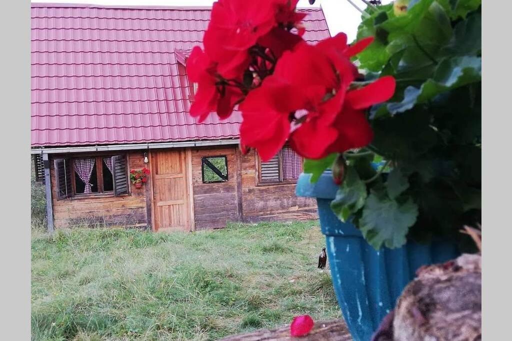 Log Cabin Uvac Nova Varoš Zewnętrze zdjęcie